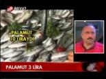 Palamut 3 Lira