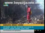Bodrum'da Orman Yangını