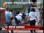 Köpek Kavgası