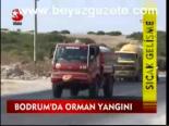 Bodrum'da Orman Yangını