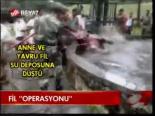Fil Operasyonu