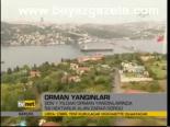 Orman Yangınları