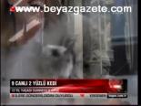 9 Canlı 2 Yüzlü Kedi