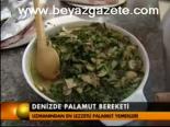 Denizde Palamut Bereketi