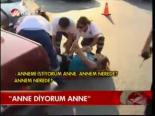 Anne Diyorum Anne