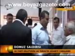 Domuz Saldırısı