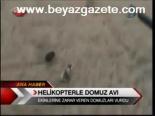 Helikopterle Domuz Avı