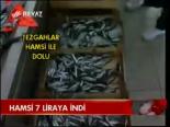 Hamsi 7 Liraya İndi
