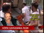 Köpek Kavgasında Ölüm