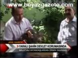 Yaralı Şahin Devlet Korumasında