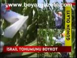 İsrail Tohumunu Boykot