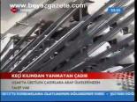 Keçi Kılından Yanmayan Çadır