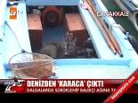 Denizden Karaca Çıktı