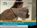 300 Hayvan Sağlığına Kavuştu