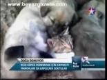 Doğu Donuyor