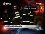 Ormanlar Alev Alev