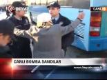 Canlı Bomba Sandılar