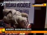 Afrodit Bagakdan Çıktı