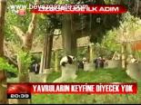 Özgürlüğe İlk Adım