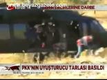 Pkk'nın Uyuşturucu Tarlası Basıldı