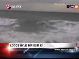 Lodos Öyle Bir Esti Ki