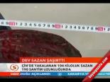 Dev Sazan Şaşırttı