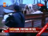Sağanak, Fırtına Ve Sel