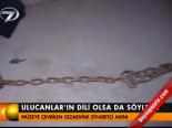 Ulucanlar'ın Dili Olsa Da Söylese!