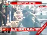 Balık Yerine Karaca Tuttu