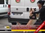 Dedektör Köpekler İş Başında