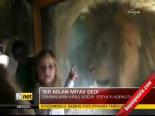 Bir Aslan Miyav Dedi
