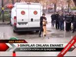 Sınırlar Onlara Emanet