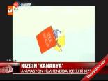 Kızgın Kanarya
