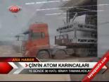 Çin'in Atom Karıncaları