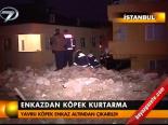Enkazdan Köpek Kurtarma