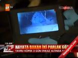 Hayata Bakan İki Parlak Göz