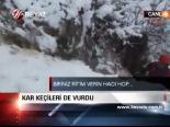 Kar Keçileri De Vurdu