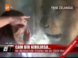 Cam Bir Kırılırsa...