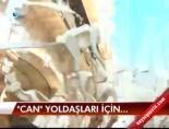 'Can' Yoldaşları İçin...