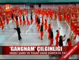 'Gangnam' çılgınlığı online video izle