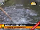Burada her şey doğal