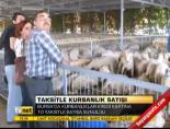 kurbanlik satisi - Taksitle kurbanlık satışı Videosu