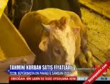 et ve balik kurumu - Kurbanlık Fiyatları 2012 Ankara - İstanbul Videosu