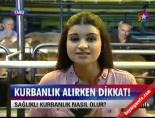 kurban pazari - Kurbanlık alırken dikkat! Videosu