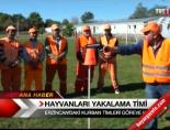 kurban timi - Hayvanları yakalama timi Videosu