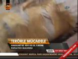 Terörle Mücadele