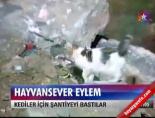 Hayvansever eylem