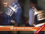 Bir Ev Dolusu Bonzai