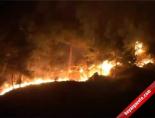 Amanoslar'daki Orman Yangını Gece Yarısı Kontrol Altına Alındı