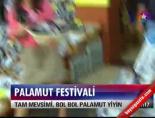 Palamut Festivali